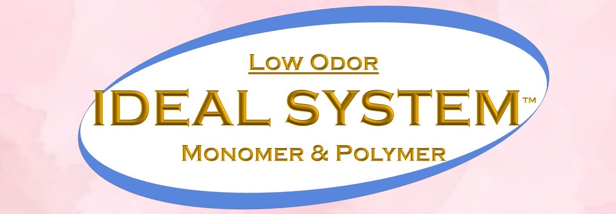 Ideal System Logo Banner